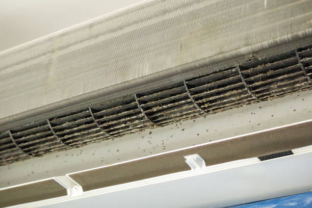 Best Local Air Duct Cleaning Services  in Lakeland Highlands, FL